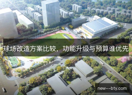 球场改造方案比较，功能升级与预算谁优先